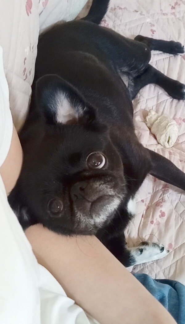 超ロングステイはなちゃん☆(後半)