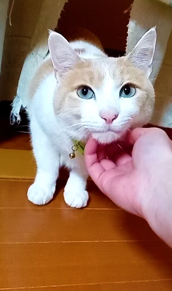 慣れて来たチョコ君・モカ君☆