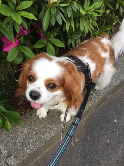 カズ君のお世話🐾🐾