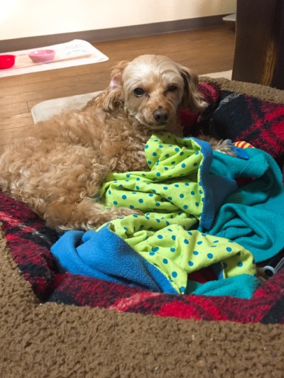 初回カウンセリング♪