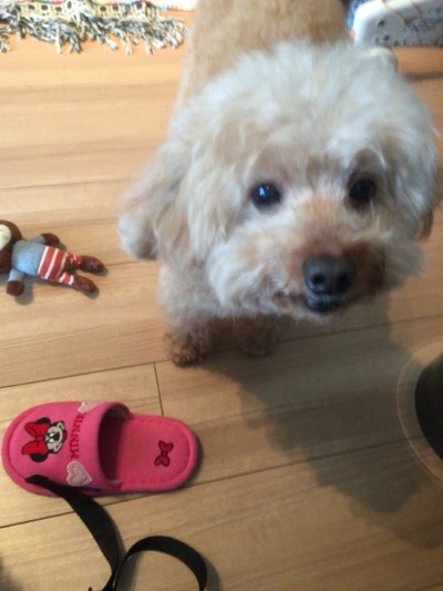 カウンセリング🎶