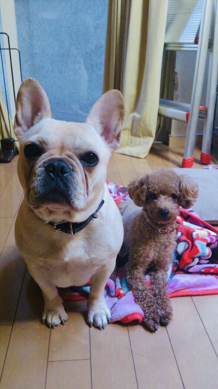 とっても仲良しさん💕