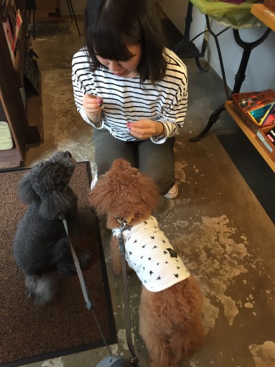 もうすぐハロウィン🎃