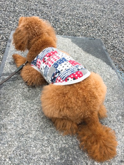 今日から10月ですね💁‍♀️