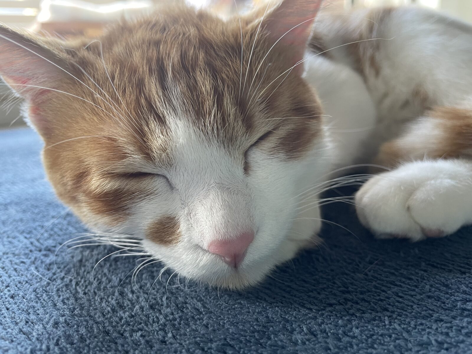 年末年始の営業