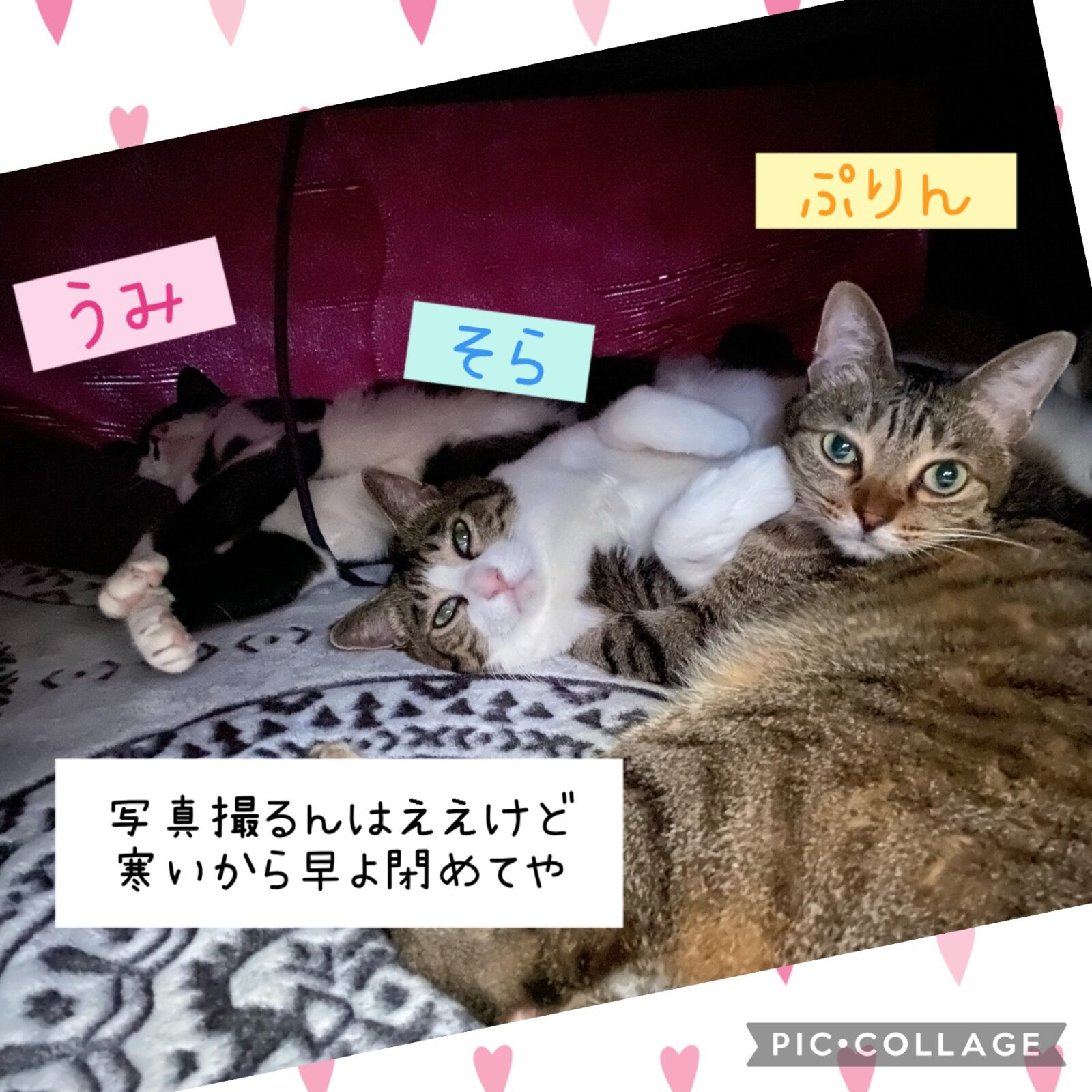 我が家のこたつ事情