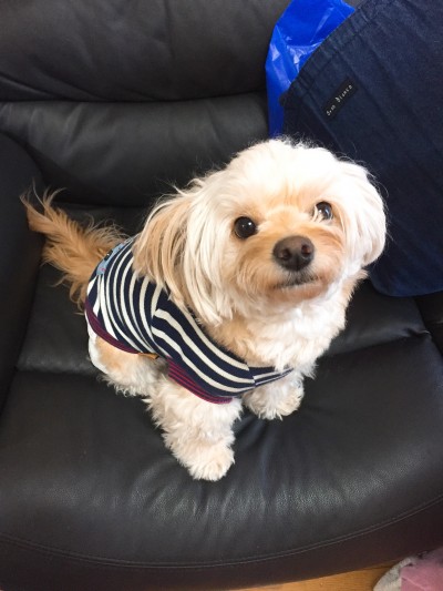 初回カウンセリング