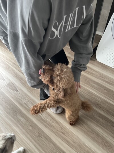 カウンセリング🎶