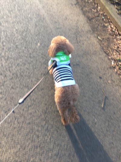 ワンワンパトロール♪