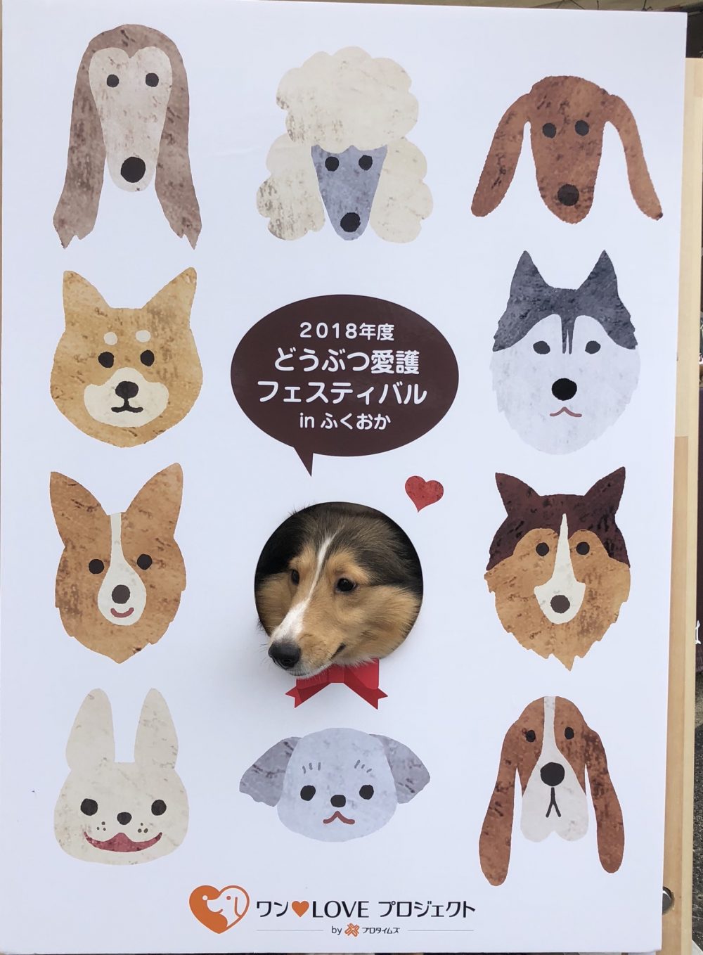 動物愛護週間🐶🐱🐹