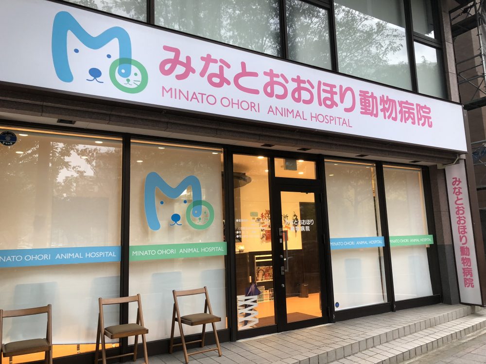 チラシを置かせていただきました👏