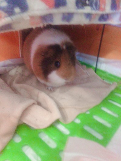 カウンセリング🎶