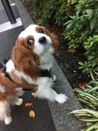 カズ君のお世話