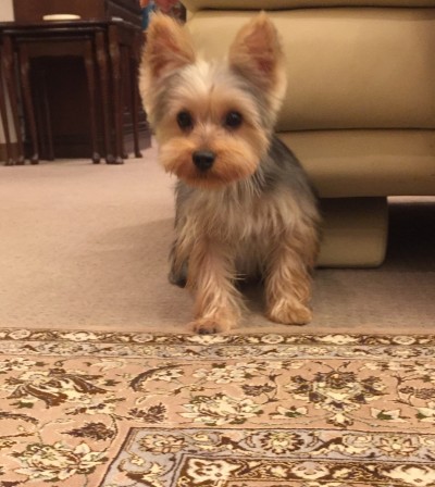 初回カウンセリング♪