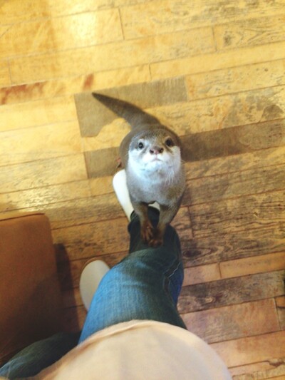 クスッとしちゃう😍