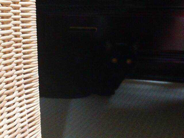 こわがりだけど、可愛いみいちゃん☺️