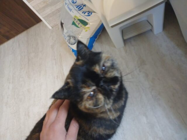 お久しぶりだね❤️