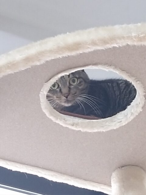 怖くて緊張したね😅