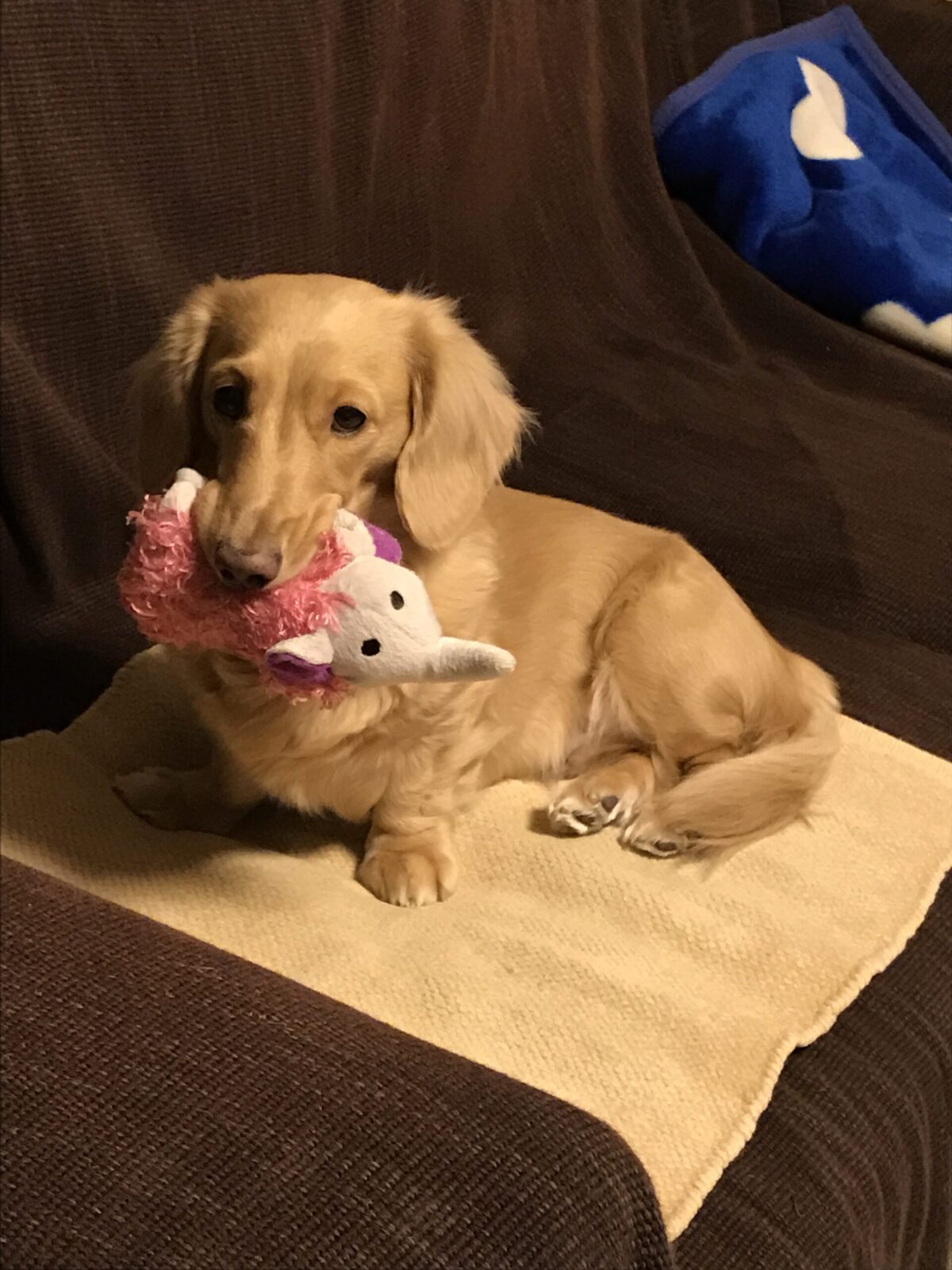 年末年始のご予約