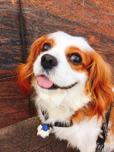 お誕生日🎂🎊