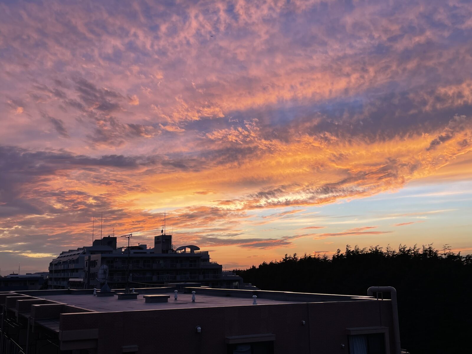 レイキヒーリングとは