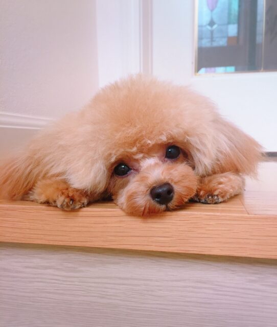 2025年GW繁忙期料金期間について