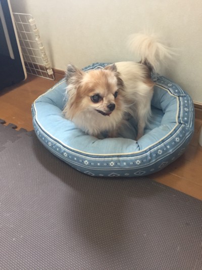 カウンセリング♪