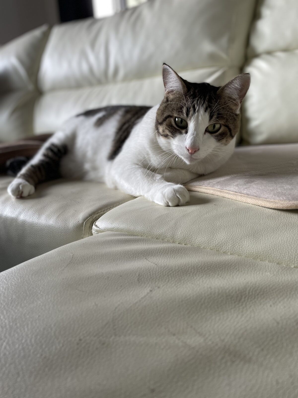 年末年始繁忙期のお知らせ