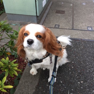 今日のお世話🐾🐾