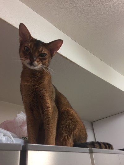 カウンセリング🎶