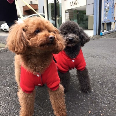 新年のごあいさつ