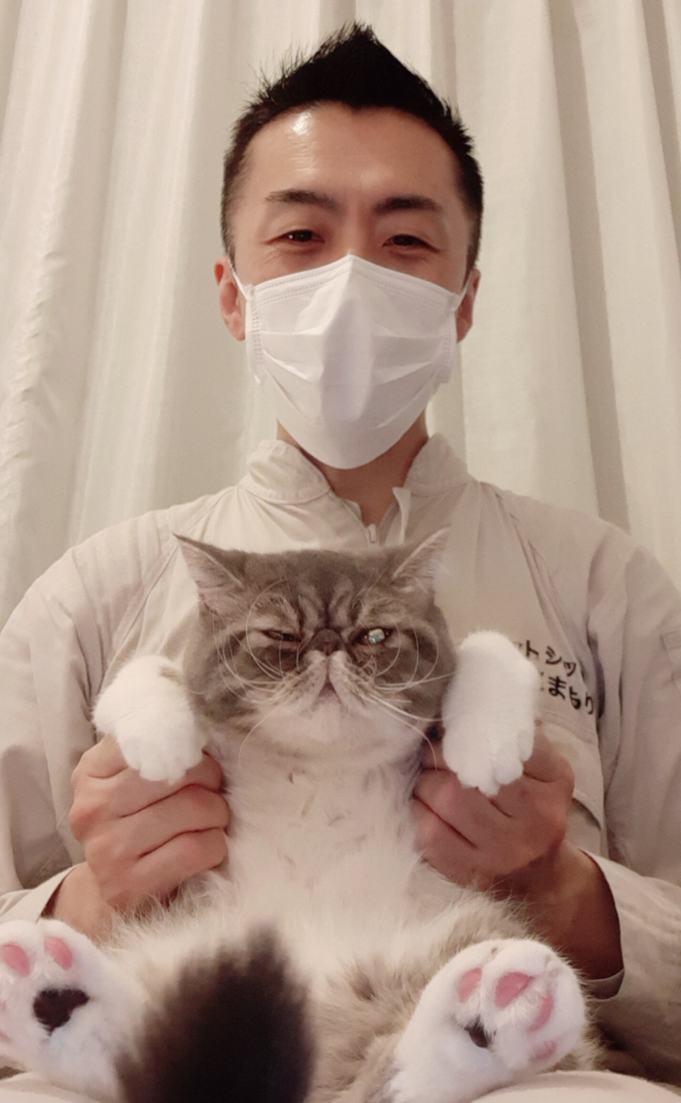 渋谷区 ご新規様 ぷにゅぷにゅエキゾチックショートヘアくん お世話報告