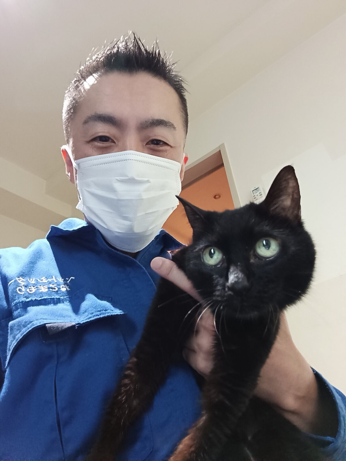 杉並区 ご新規様 黒猫おばあちゃん14歳 お世話レポート🐈