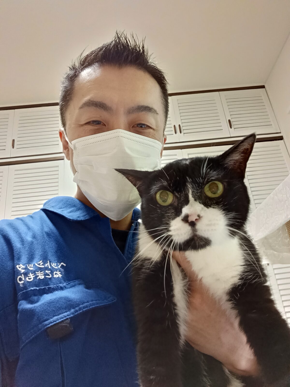 新宿区 お得意様 御歳17才おねむのおじいちゃんねこ お世話レポート🐈