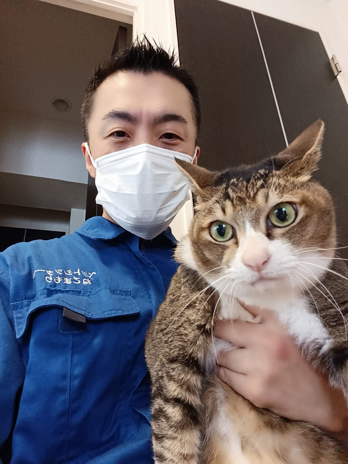 新宿区 ご新規様 ふっくら〜ニャンくん 御歳13歳 お世話レポート🐈