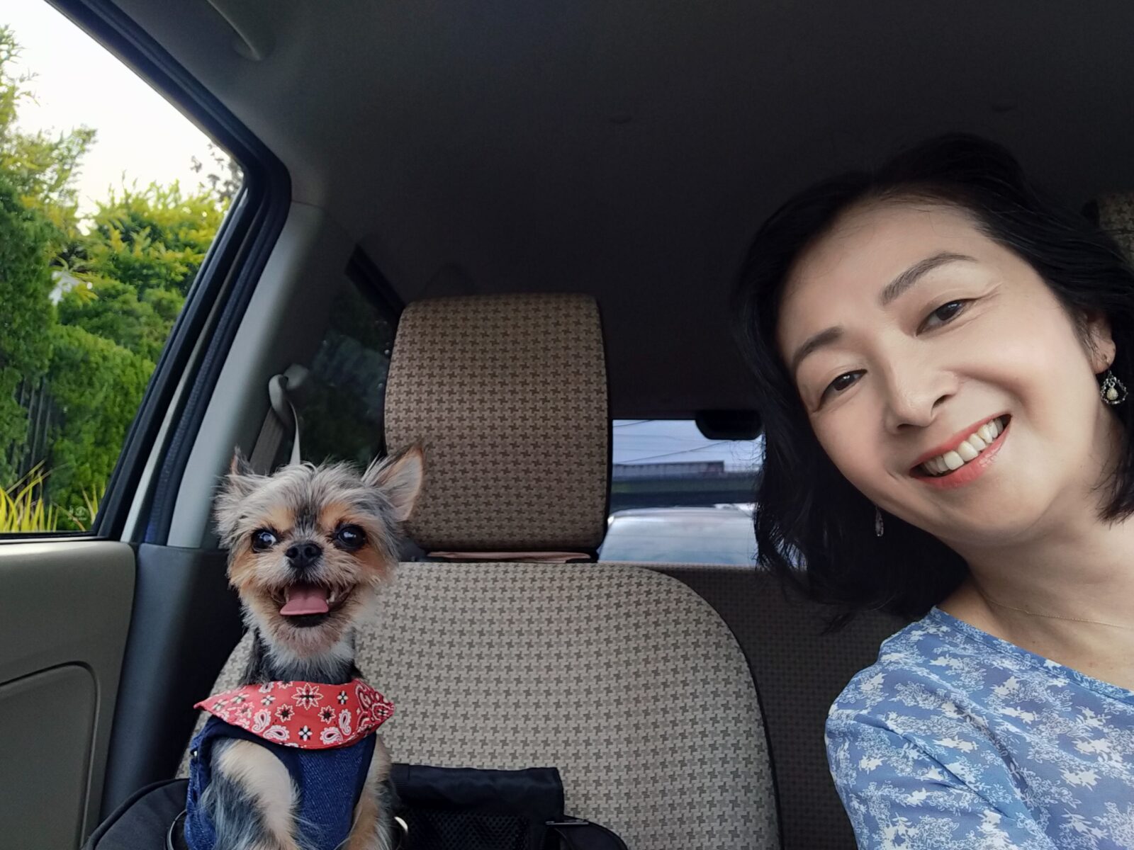 5月13日は愛犬の日！ワンちゃんに“特別な1日”をプレゼントしませんか？