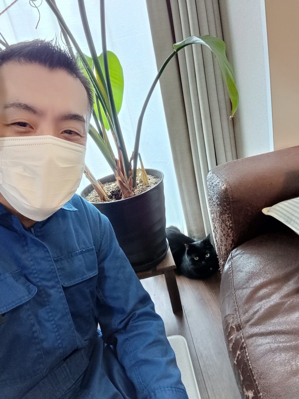 中野区 お得意様 お鼻におやつが付いちゃった〜 黒猫ちゃん お世話レポート🐈