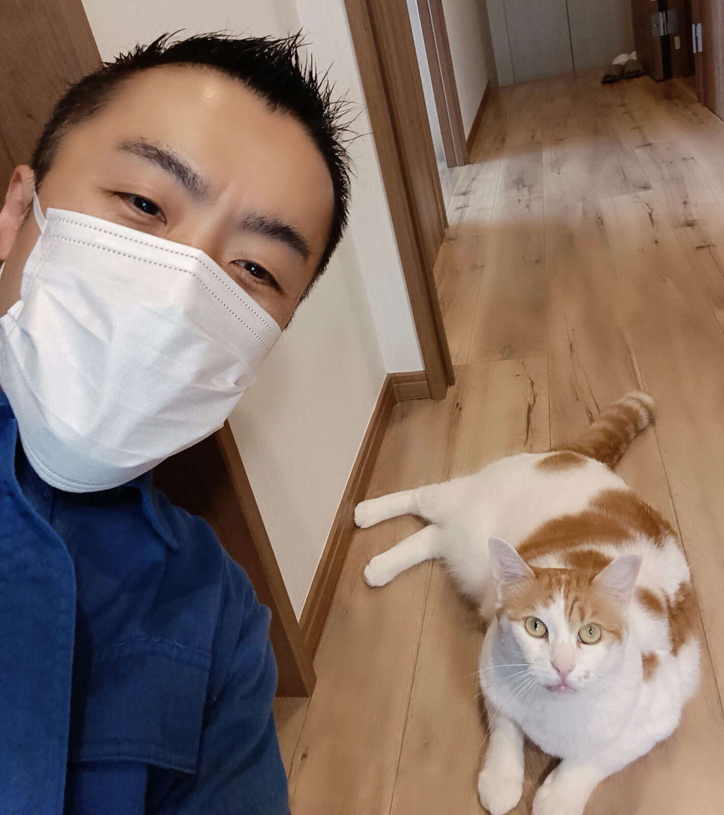 新宿区 お得意様 スリスリ大好き茶白猫くん お世話レポート🐈