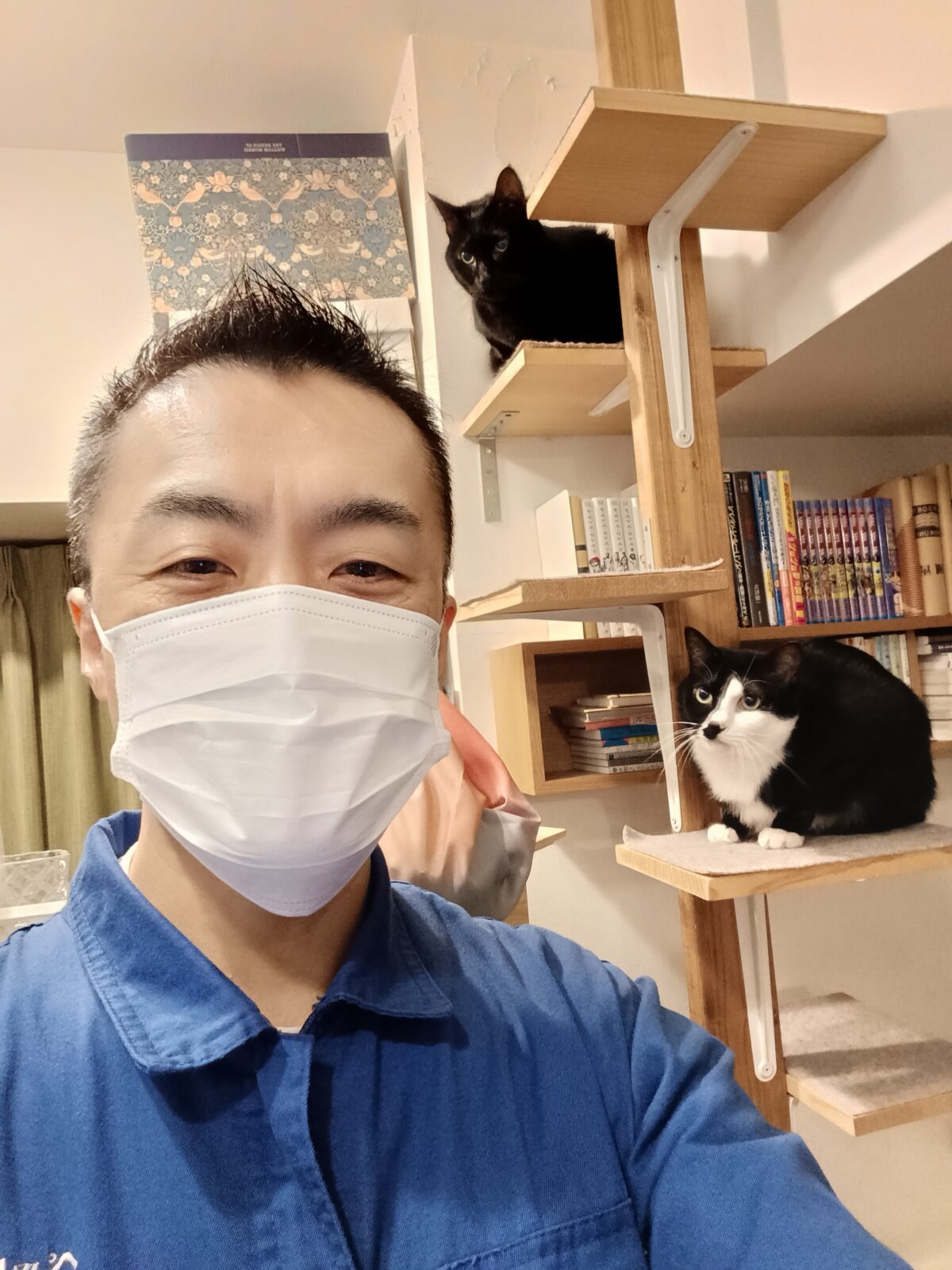 新宿区 ご新規様 はじめてのお留守番 黒猫くん&白黒ちゃん お世話レポート🐈