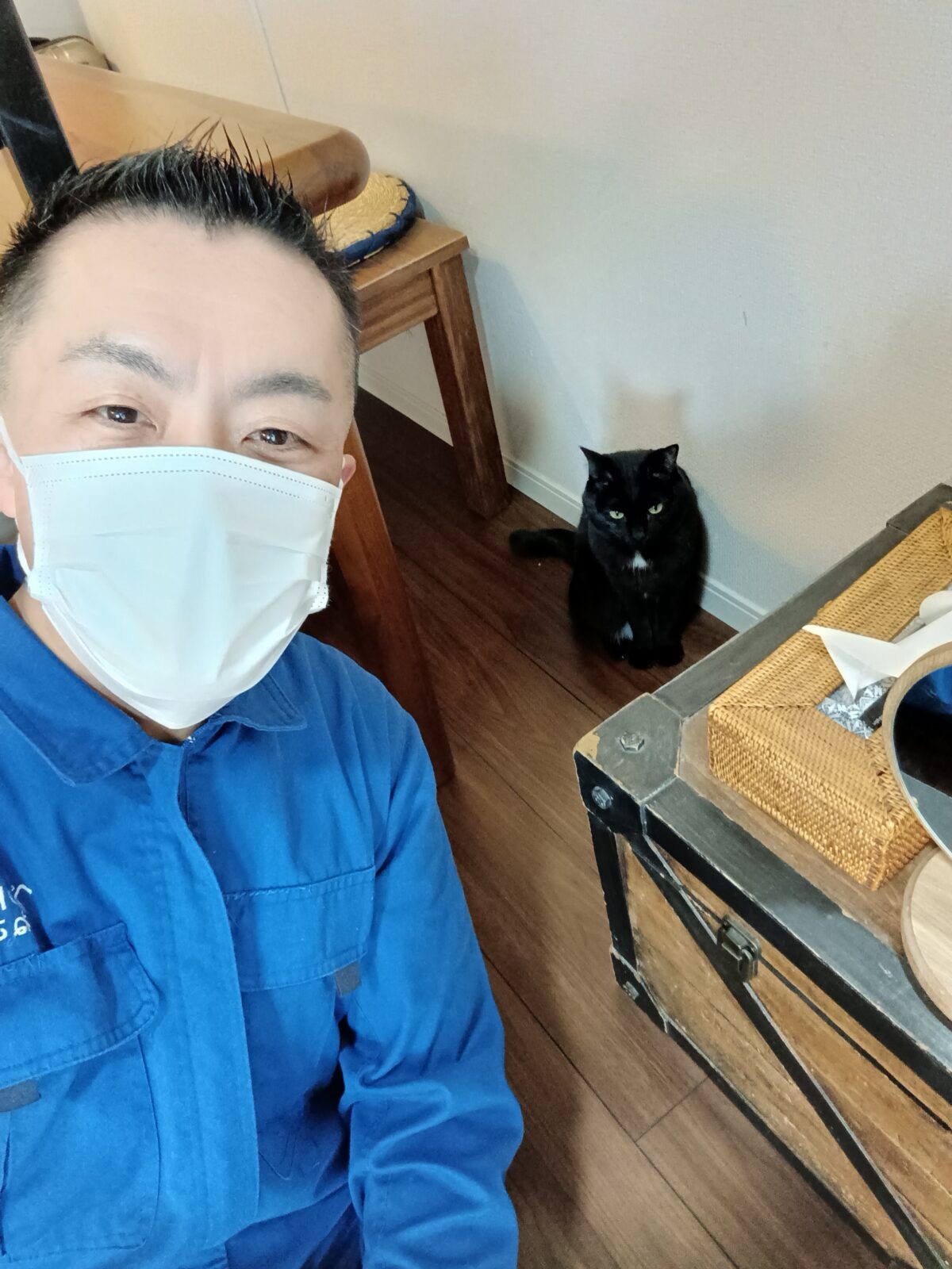 中野区 お得意様 ドキドキッ緊張! 大丈夫だよ〜黒猫ちゃん お世話レポート🐈