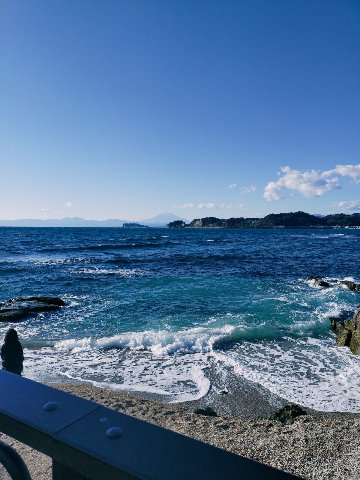 逗子・葉山でもペットシッターやっています！