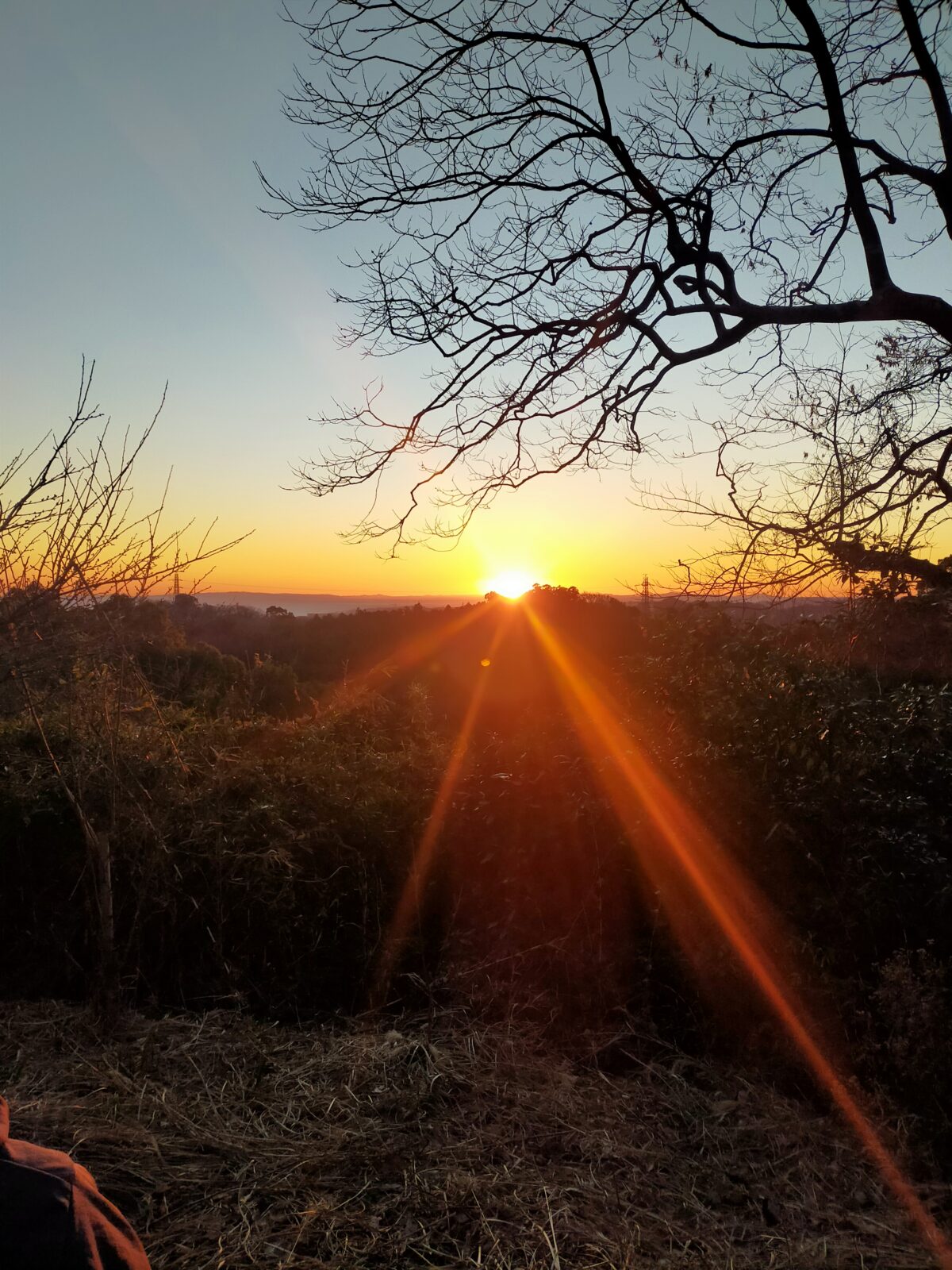 あけましておめでとうございます。　