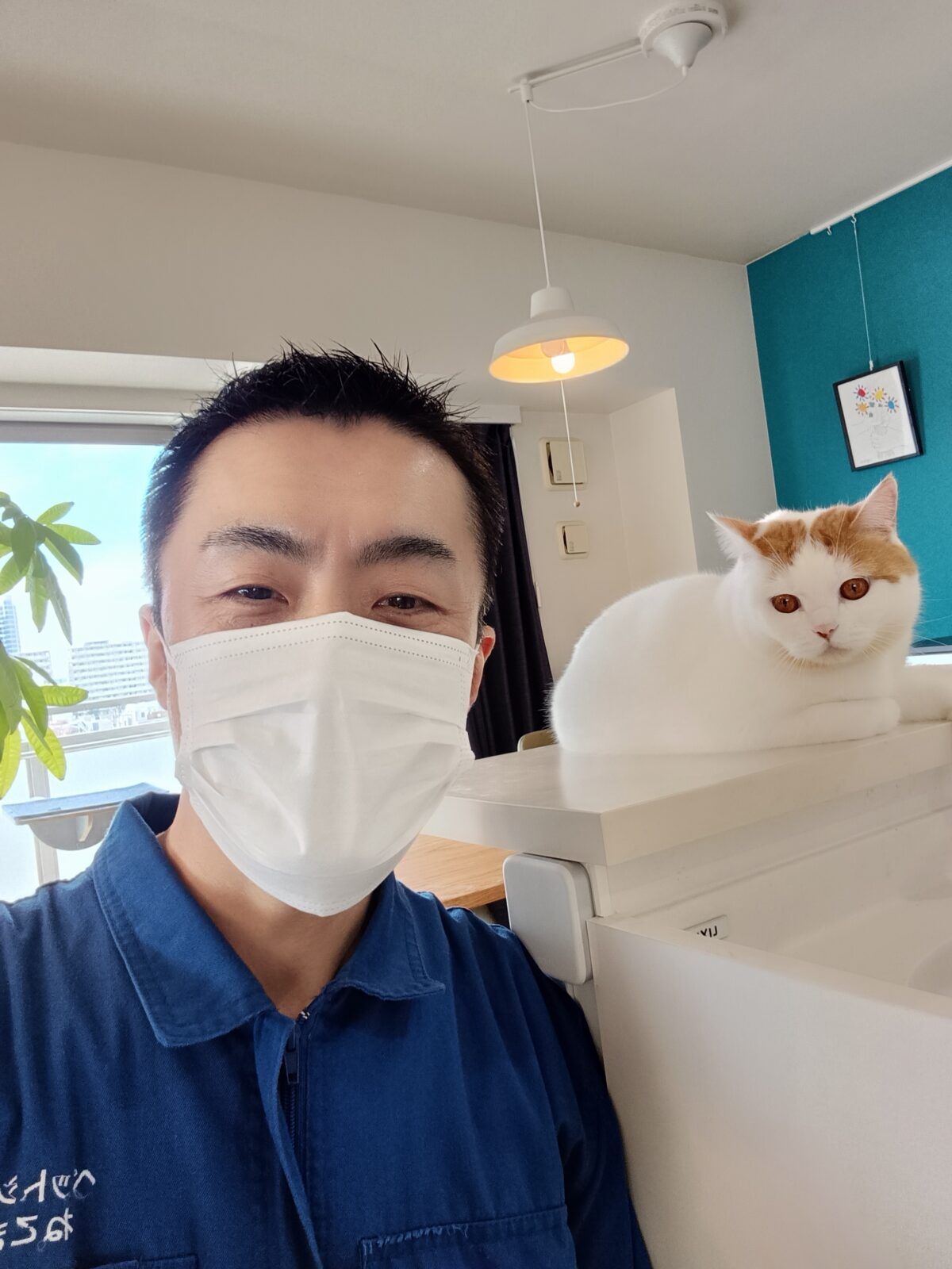 新宿区 お得意様 走る走るダッシュしまくり〜 スコティッシュフォールドくん お世話レポート🐈