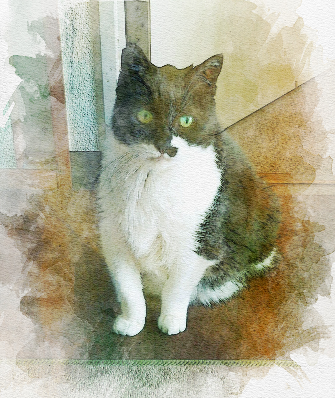 3.22 さくらねこの日