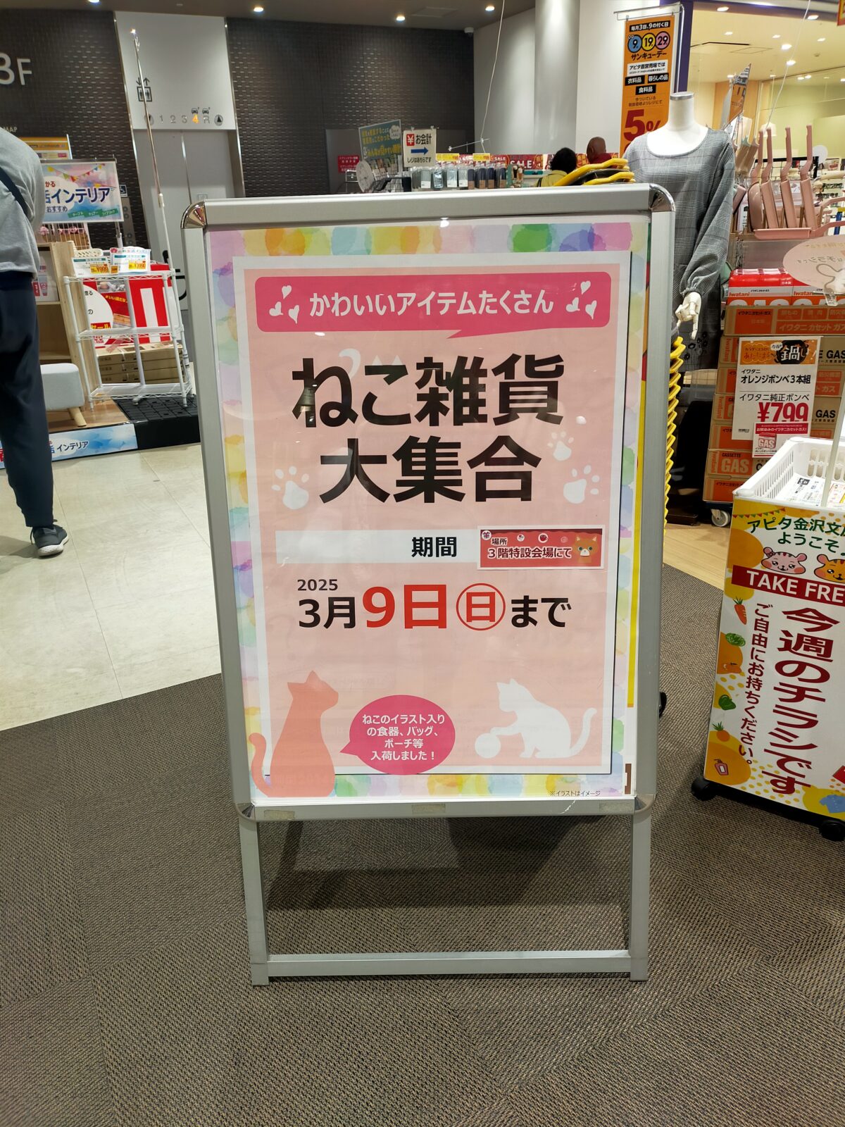 本日の猫イベント情報