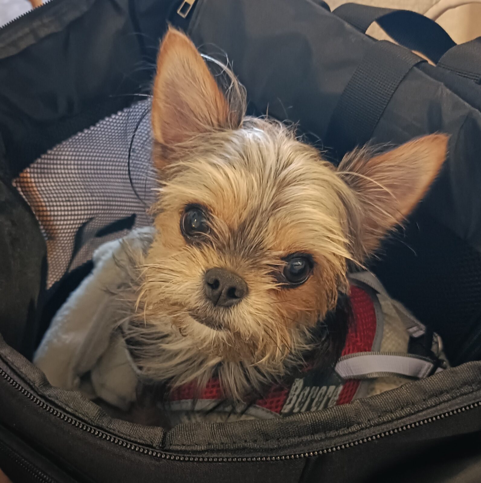 鎌倉でお茶しました♪