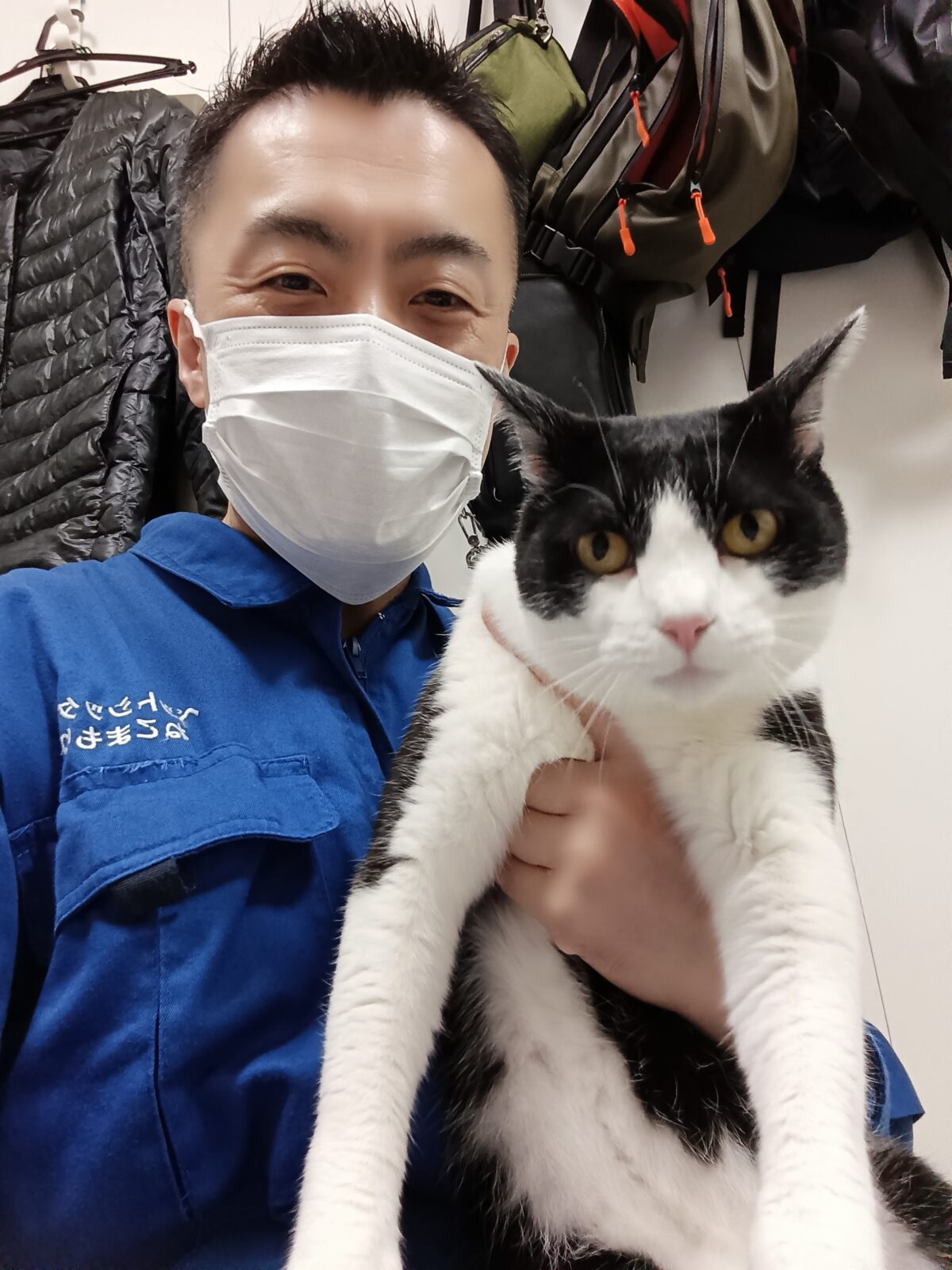 新宿区 お得意様 1年ぶりの再会 覚えていてくれたね白黒ニャンくん お世話レポート🐈