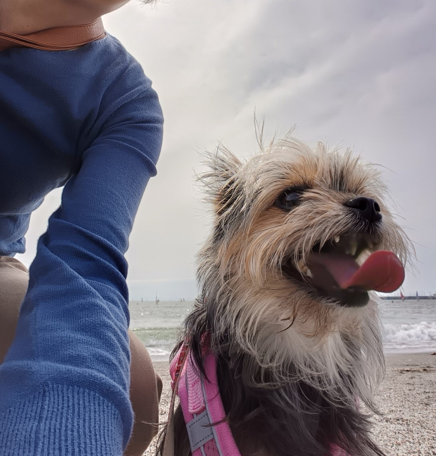 逗子海岸でお散歩
