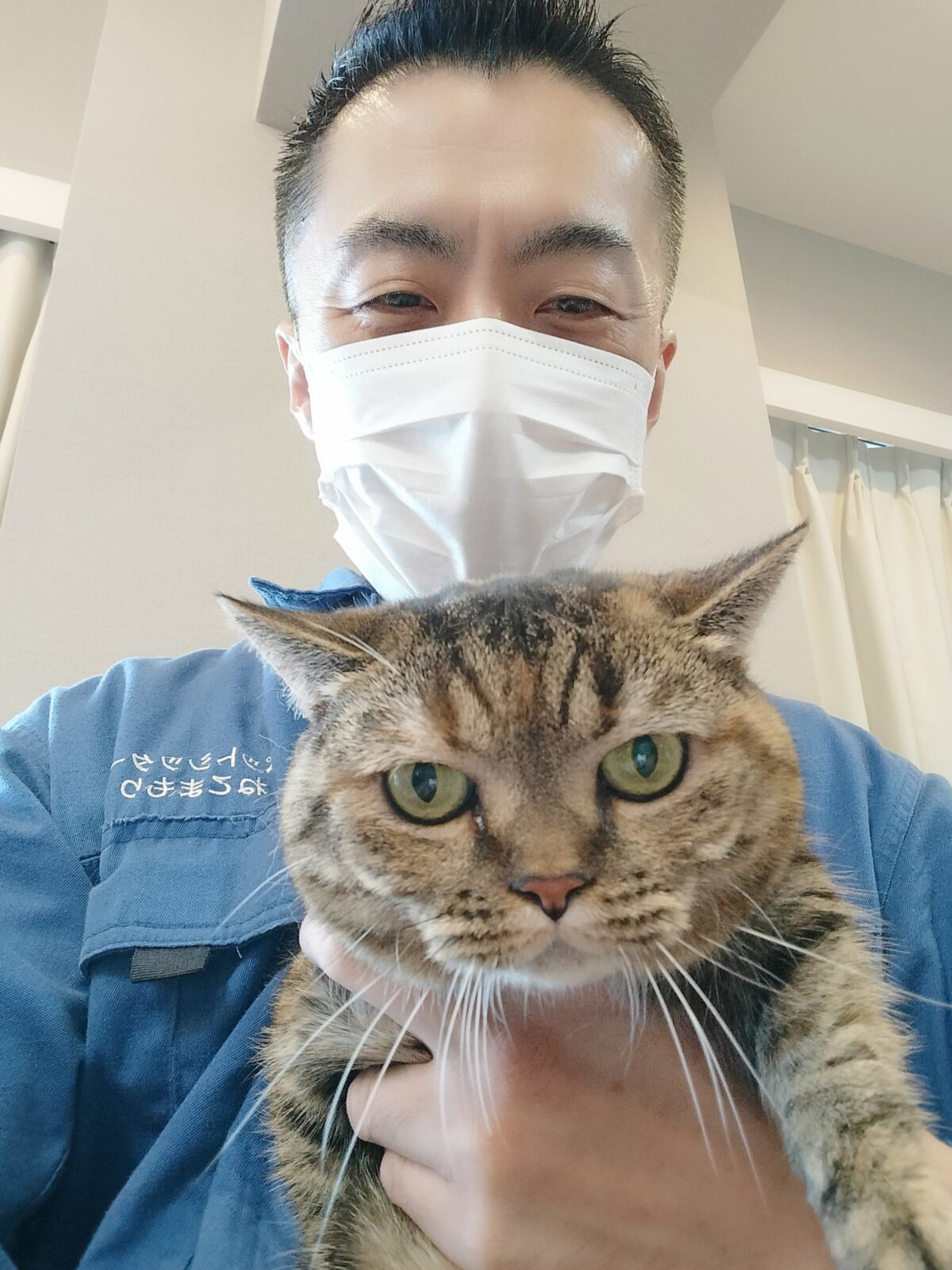 新宿区 ご新規様 段々と心を開いてくれた マンチカンちゃん お世話レポート🐈