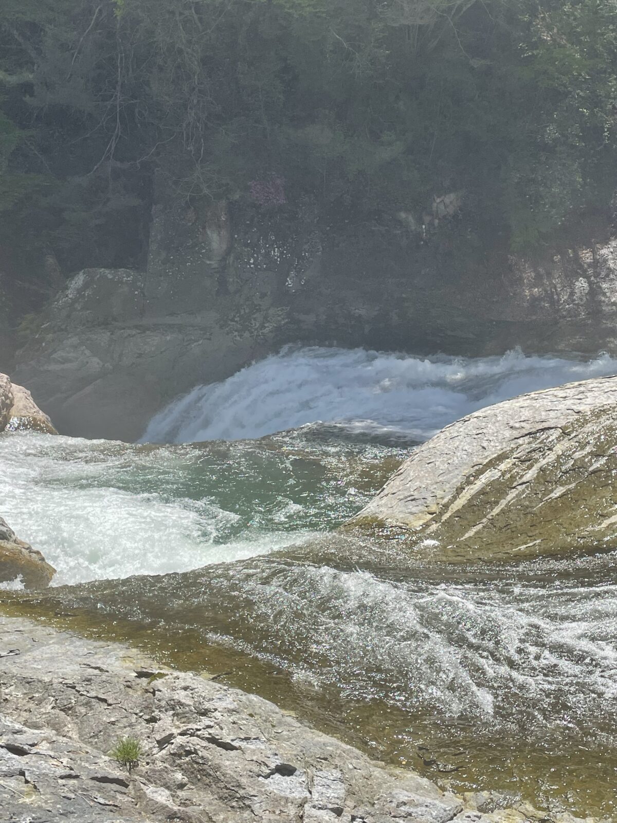 夏季繁忙期間のお知らせ